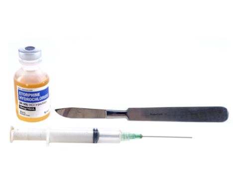 DEXTER - Dexter Morgan's (Michael C. Hall) SFX Scalpel and Syringe with TranquilizerDexter Morgan's (Michael C. Hall) SFX sca