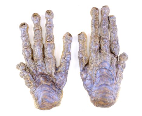 STARGATE - Ra's (Jaye Davidson) HandsRa's (Jaye Davidson) hands from Roland Emmerich's sci-fi action film Stargate. The body 