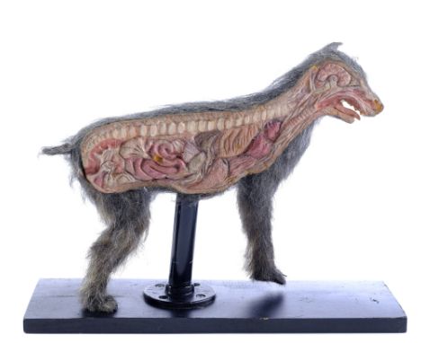 RETURN OF THE LIVING DEAD, THE - Screen-Matched Split Dog Puppet RigA screen-matched split dog puppet rig from Dan O'Bannon's