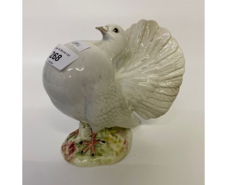 A Beswick model 1614 fantail pigeon [15cm] 