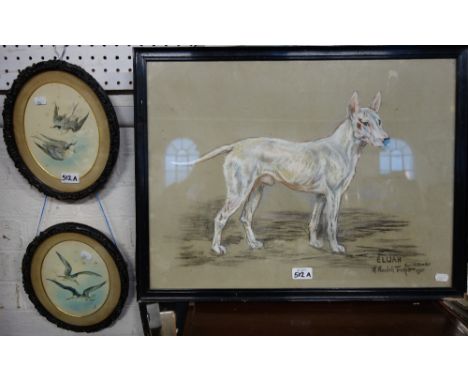 A VICTORIAN WATER COLOUR STUDY OF SEAGULLS and another similar, both in moulded oval frames, and a portrait of a dog ; 'Elija