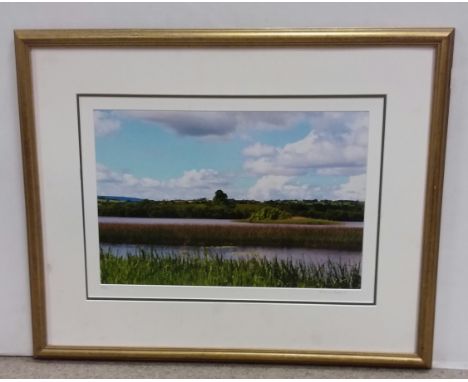 Limited Edition Gilt Framed Print