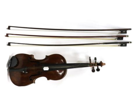 Violin 13 3/4'' two piece back, with label 'David Tecchler Roma Fecit Anno D-ni 1686, cased with three bows: one marked 'Nach