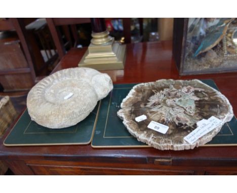 AN AMMONITE FOSSIL, Jurassic period, 21 cm wide and a polished cross section of petrified wood, 25 cm dia.