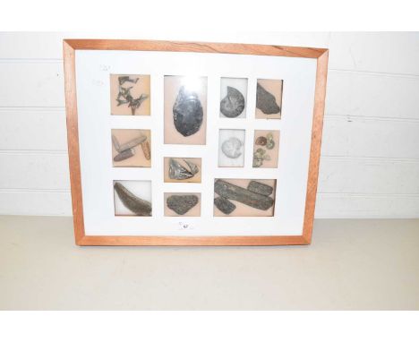 Framed display of various fossils and a knapped flint axe head