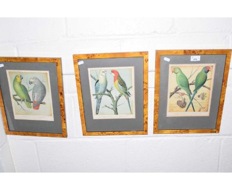 Three reproduction prints of tropical birds after Cassell's canaries and caged birds, glazed with faux walnut frames