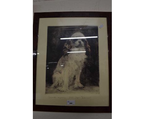 Portrait of a dog by Nadl. Meyer-Thehardt?, engraving, framed and glazed