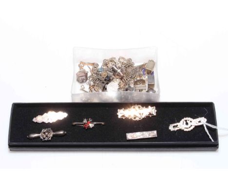 Box of vintage silver charms and six assorted brooches.