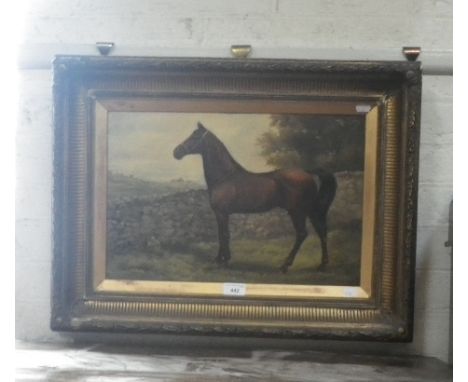 A portrait of a horse by a dry stone wall, signed, G.R. Hall