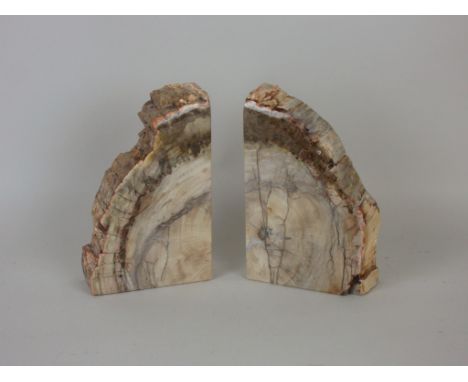 A pair of Fossil Wood Book Ends, 7in H x 4 1/2in W, Madagascar, c220 million year