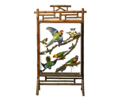 A faux bamboo firescreen  circa 1900 with later colourful birds 109cm.; 43ins high  