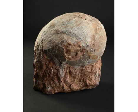 Natural History: A Hadrosaur egg  Xixia basin&#44; China&#44; Late Cretaceous 15cm.; 6ins wide