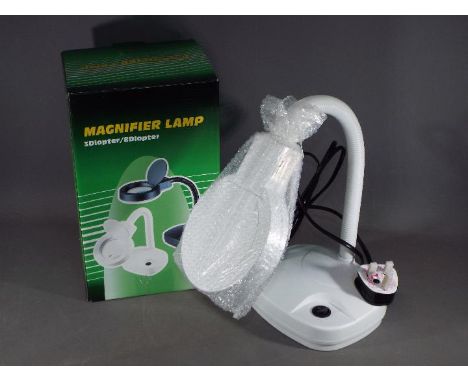 A small table magnifier lamp. (tmags)