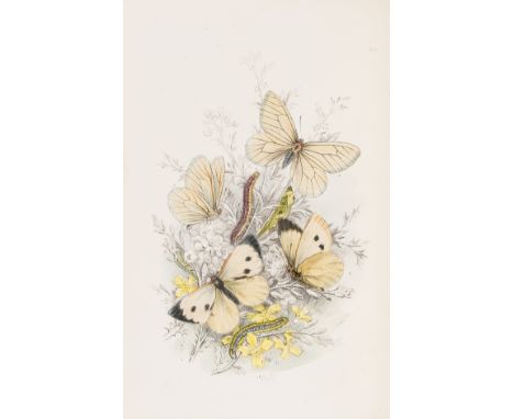 Butterflies.- Humphreys (Henry Noel) The Genera and Species of British Butterflies, additional title and 32 lithograph hand-c