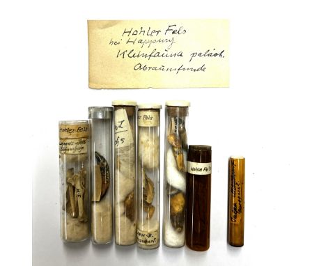 Germany, Hohlefels, a collection of animal bones and stone tools, Paleolithic and Neolithic and later periods Provenance: Col