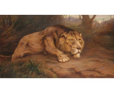 Manner of Geza Vastagh, Lion waiting to pounce, oil on board, 37 x 66cm. Framed. Condition Report:  evidence of old retouchin
