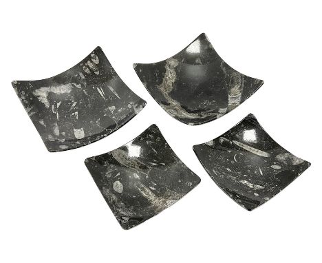 Set of four square dishes in two sizes, each with orthoceras and goniatite inclusions, age: Devonian period, location: Morocc