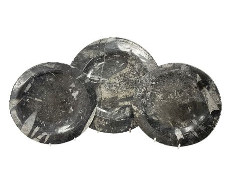 Three circular plates, each with Orthoceras and Goniatite inclusions, age: Devonian period, location: Morocco, largest D25cm