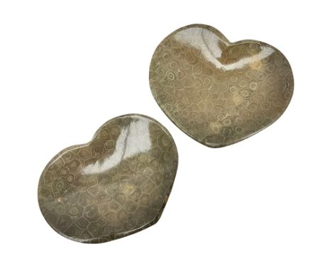 Two fossilised coral dish in the form of hearts, largest H13cm