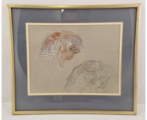 ERIC ENNION Goshawk and Partridge, field sketch, Watercolour, inscribed below mount, 23 x 30cm, mounted in glazed frame 