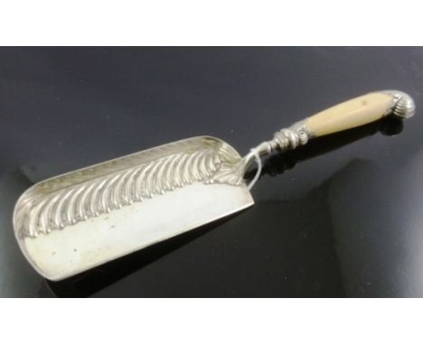 A LATE VICTORIAN/EDWARDIAN EPNS CRUMB TRAY, having pistol grip ivory handle and silver ferrule, Sheffield, possibly 1890 