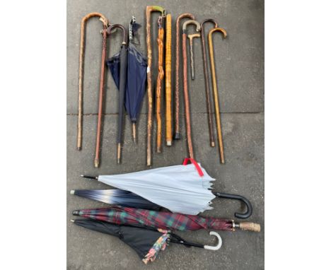 A large collection of various walking sticks &amp; umbrella's; shepherds crook style walking stick and horn handle walking st