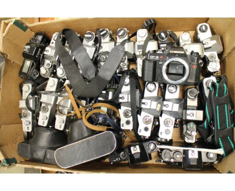 SLR Bodies: a quantity of various camera bodies (a lot)