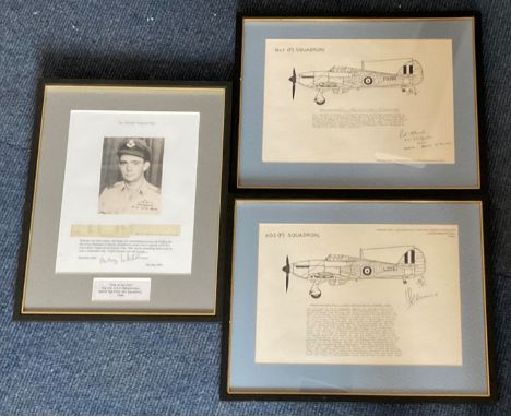 3 Signed &amp; Framed Royal Air Force Pictures 12 x 17 Including A Signed Portrait of Wing Commander S. A. H. Whitehouse 8843