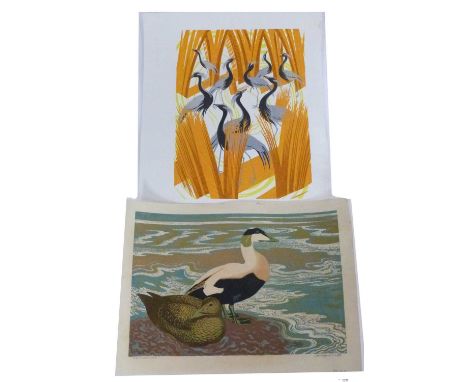 Clifford Cyril Webb (British, 1895-1972), 'Eider Duck' limited edition colour linocut print 4/20, signed and inscribed by the