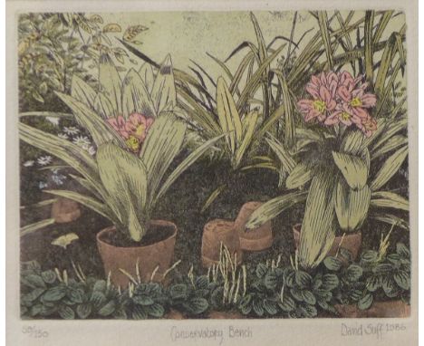 A signed David Soff limited edition print, 59/150, Conservatory Bench, framed