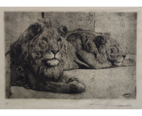 Etching of two lions, signed indistinctly and framed under glass, 22 x 15cm