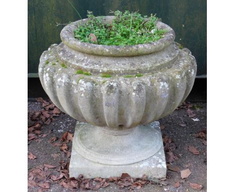 A cast concrete urn planter, the urn on a square set base, 53cm high, 60cm wide. 