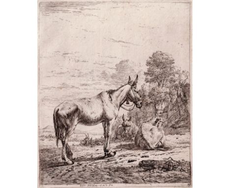 Carel Dujardin-The hinny with the little bel  /  Description:  The hinny with the little bell. Landscape with a mule standing