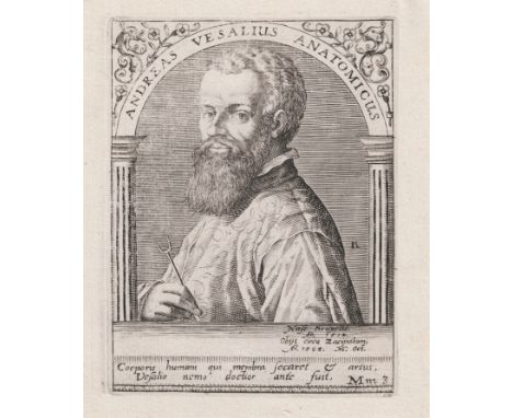 Portrait of Andreas Vesalius  /  Description:  Portrait of Andreas Vesalius (1514-1564). He was a southern Dutch physician an