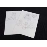Six original pen and ink studies of the Ideal Teddy Bear in previous lot,