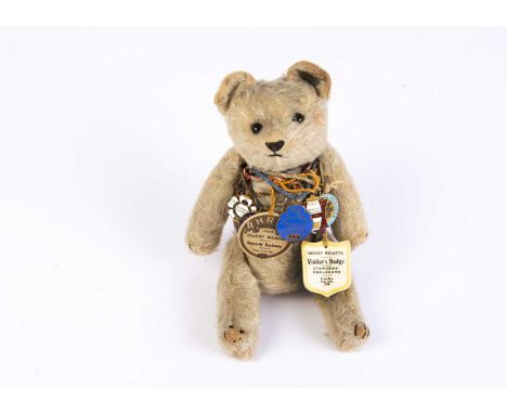 ‘Pery’, a very rare Steevans Manufacturing Teddy Bear with button in ear, circa 1918, with light golden mohair, black boot bu