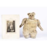 A rare Strunz Teddy Bear muff with photo of original owner Janie Simpson, circa 1908,