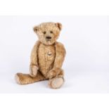 A fine Ideal Teddy Bear, 1910s,
