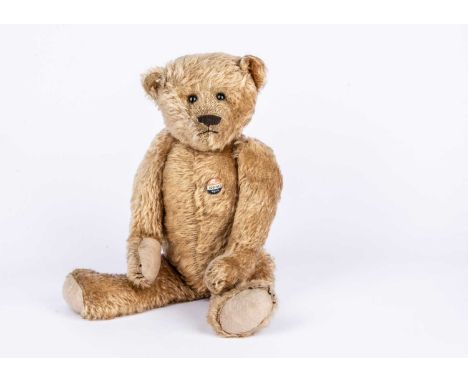 A fine Ideal Teddy Bear, 1910s,  with apricot mohair, black boot button eyes, pronounced clipped muzzle, inset black cloth no