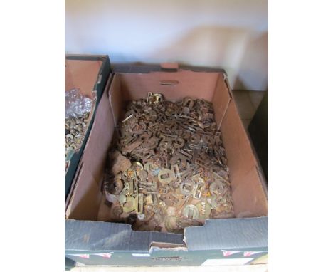 A box of British Army belt buckles 