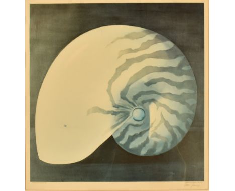 Comer Jennings (American, b. 1926 - 2016)

Chambered Nautilus
Printed by Colour Graphics 1978
Lithograph&nbsp;
Signed in plat