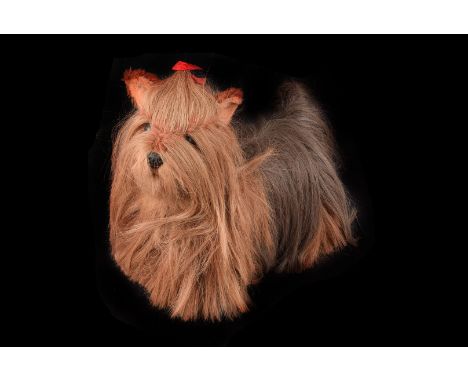 A modern Steiff Yorkshire terrier, together with two other soft toy Yorkshire terriers (3)