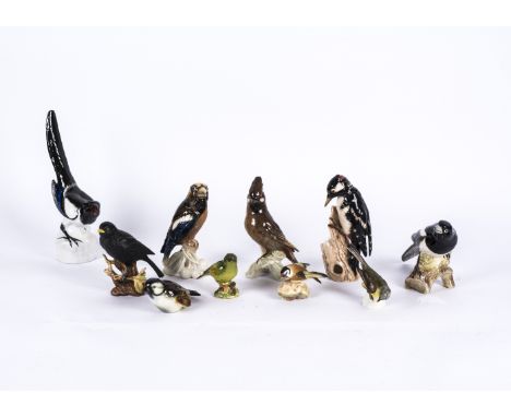 A large collection of ceramic bird figures, featuring blackbirds, bluetits, woodpeckers, magpies and more, including examples