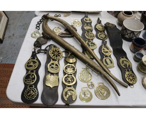A LARGE COLLECTION OF VINTAGE HORSE BRASSES, ETC TO INCLUDE HORSE HAMES, HORSE BRASSES ON MARTINGALES, GUINNESS, ELIZABETH R 