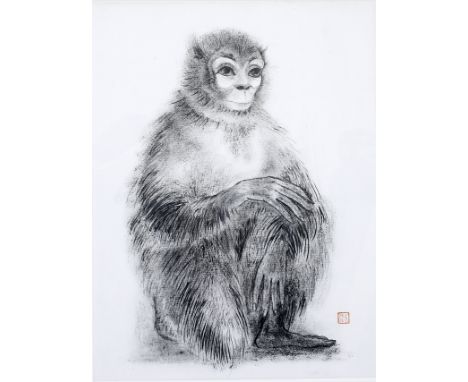 MADELEINE PEARSON (EARLY 20TH CENTURY ENGLISH SCHOOL) A study of a monkey, pen and wash, signed with a red Chinese seal, 22cm