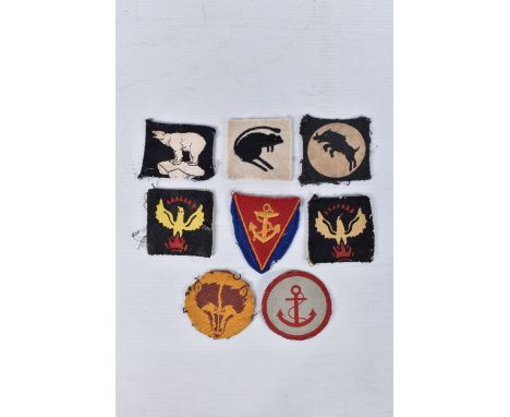 A SELECTION OF WWII CLOTH INSIGNIA COLLECTED BY V.A.D NURSE JESS WINIFRED CAREY, in France and the UK, Miss Carey used to ask