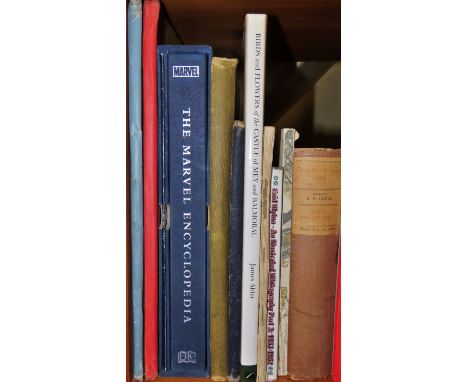A good children's and illustrated collection to include Noddy, Babar, Thomas the Tank Engine and Winnie the Pooh (26)