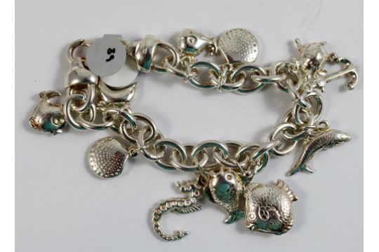 beaverbrooks charms