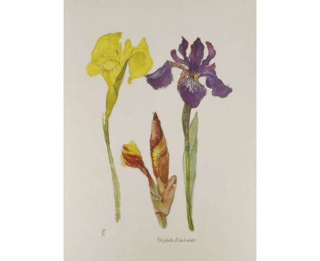 *Dame Elizabeth Blackadder RA RSA (b.1931)IRISESLithograph printed in colours, signed and numbered 38/50 in pencilsheet 60 x 