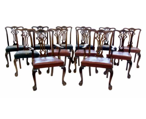 Twelve Chippendale design mahogany framed dining chairs, comprising ten single and two carver chairs, each with pierced and c